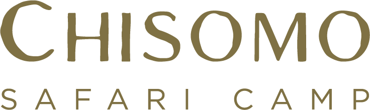 logo-chisomo-gold