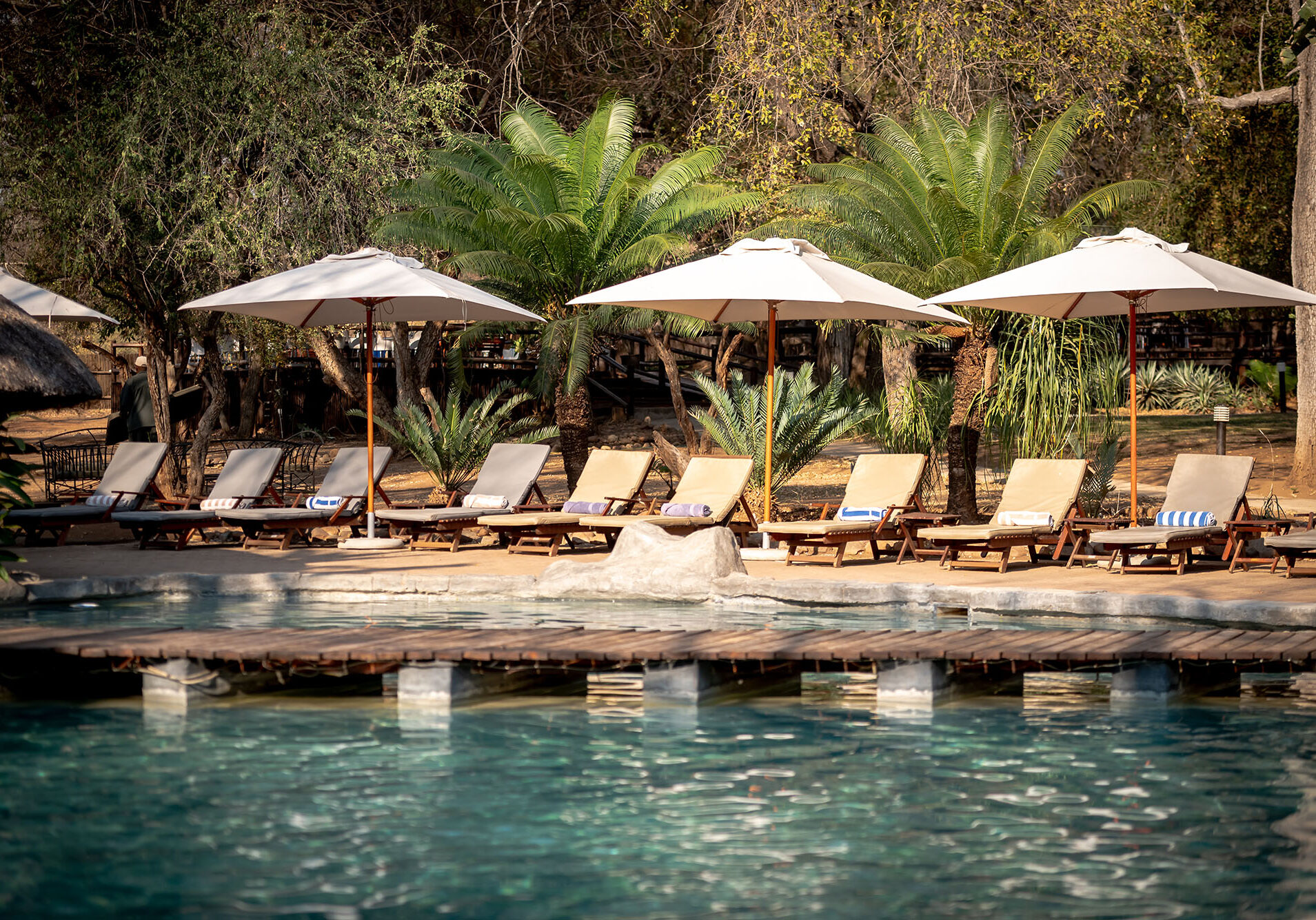 Karongwe-Shiduli-Safari-Lodge-15