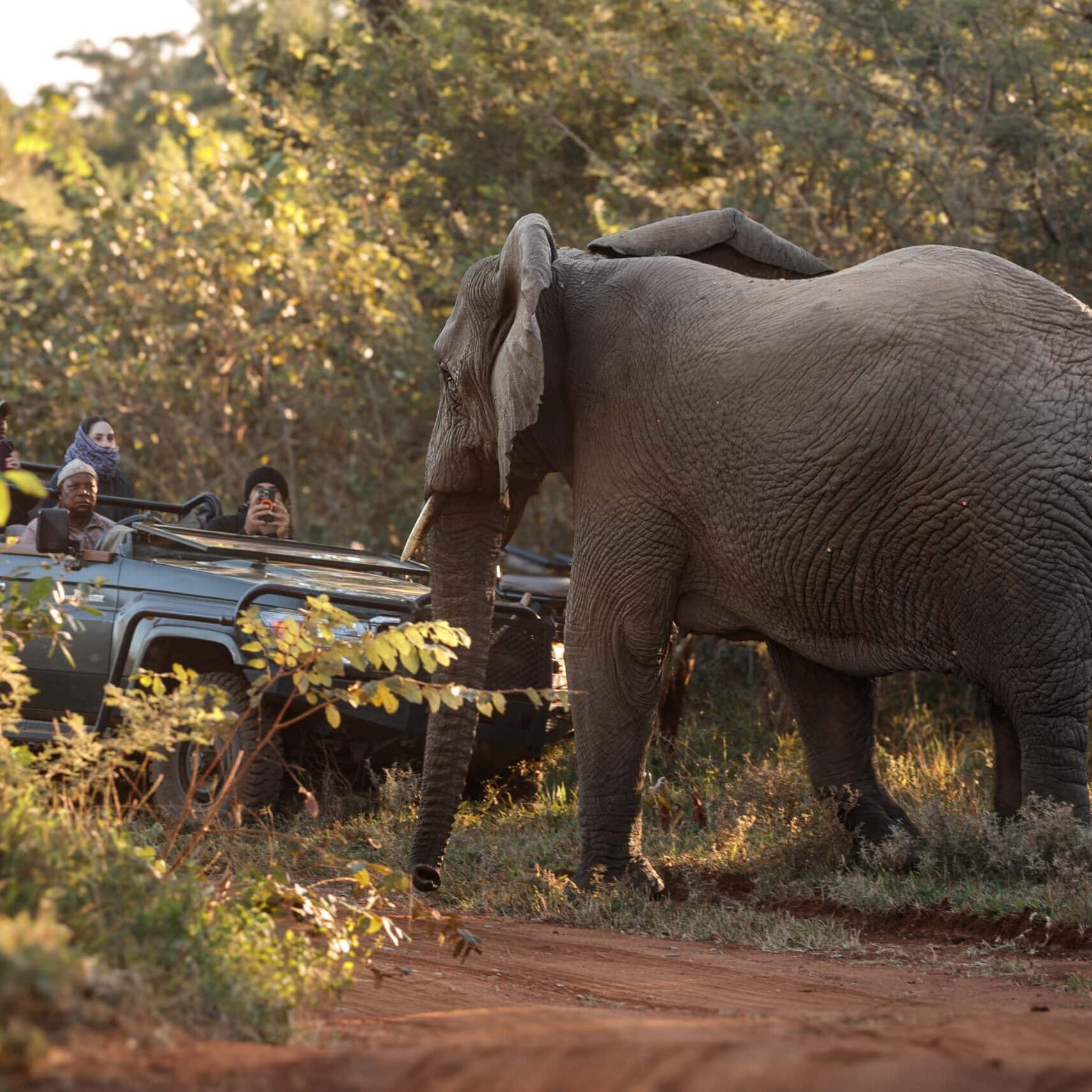 _V4A6359